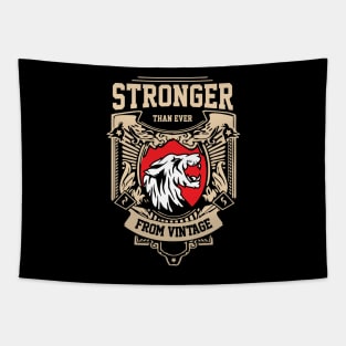 Stronger Tapestry