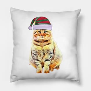 Merry Christmas 2021, Cat with a hat, Christmas gift Pillow