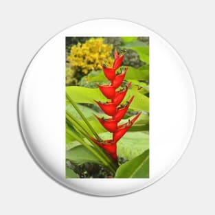 An Exotic Heliconia Pin