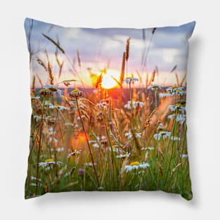 Wildflowers at Sunset Pillow