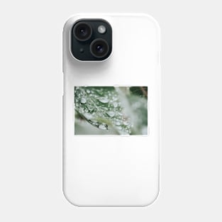 Dewdrops on green leaf after the rain Phone Case