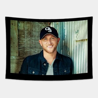 Cole Swindell twelve music concert Tapestry