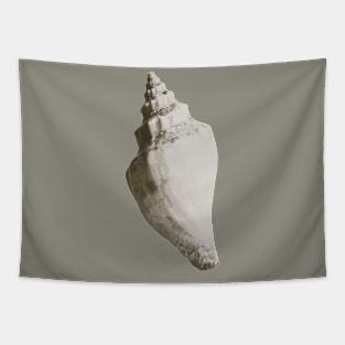 Spiral Sea Shell Tapestry