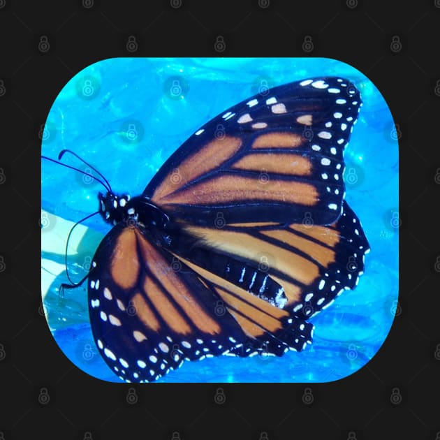 Beautiful Nature Monarch Butterfly by HutzcraftDesigns