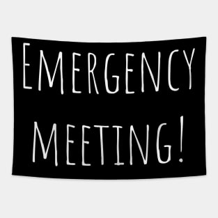 Emergency meeting! Tapestry