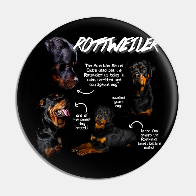 Rottweiler Fun Facts Pin by Animal Facts and Trivias