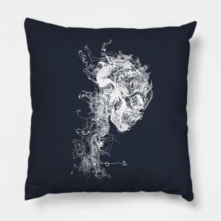 a Head of Flame and Technology Pillow