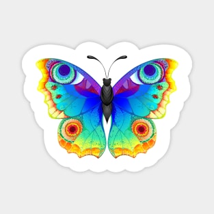 Rainbow Butterfly Peacock Eye Magnet