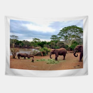 African Elephant White Rhinoceros South Africa Tapestry