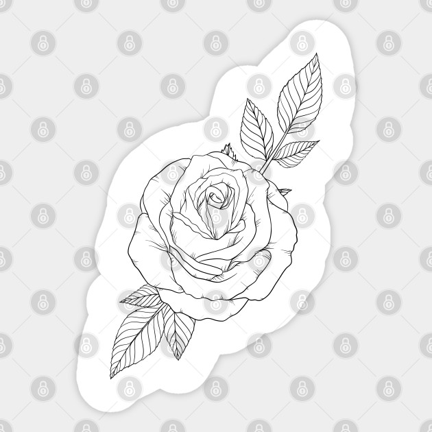 Rose Line Art Roses Artwork Sticker Teepublic