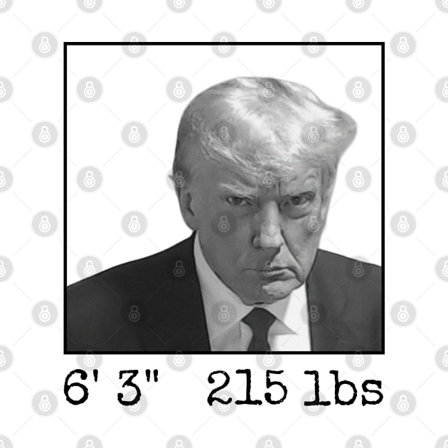 Donald Trump Mugshot Height & Weight by teecloud