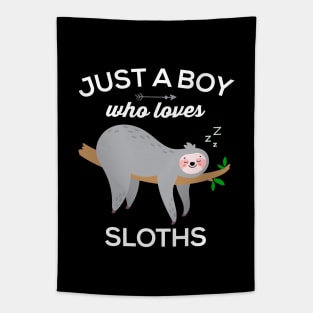 Sloths for Boys: Funny Just a Boy Who Loves Sloths Tapestry