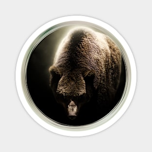 Brown Bear Animal Wild Forest Jungle Nature_ Magnet