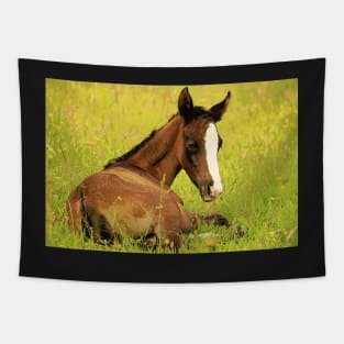 2017 Horse 05 Tapestry