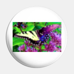 Gynandromorph Butterfly Pin