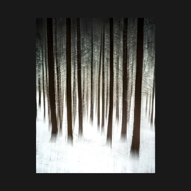 Snowy Forest Abstract by TonyNorth