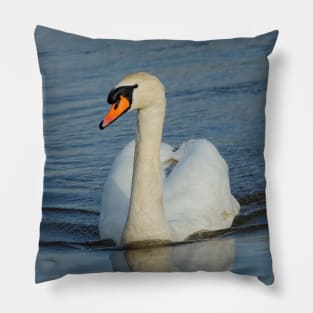 Mute Swan Swimming in the Harbor Pillow