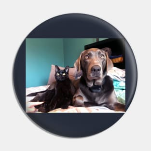 Grimm and Luna -  Black Cat and Gray Labrador :: Canines and Felines Pin