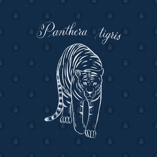 Tiger (Panthera tigris) by illucalliart