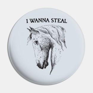 I Wanna Steal Pin