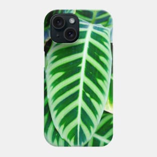 Green Zebra Plant Leaf Phone Case