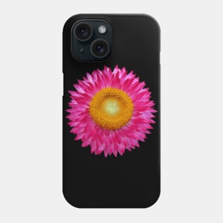 wonderful pink flower, blossom, nature, aster Phone Case