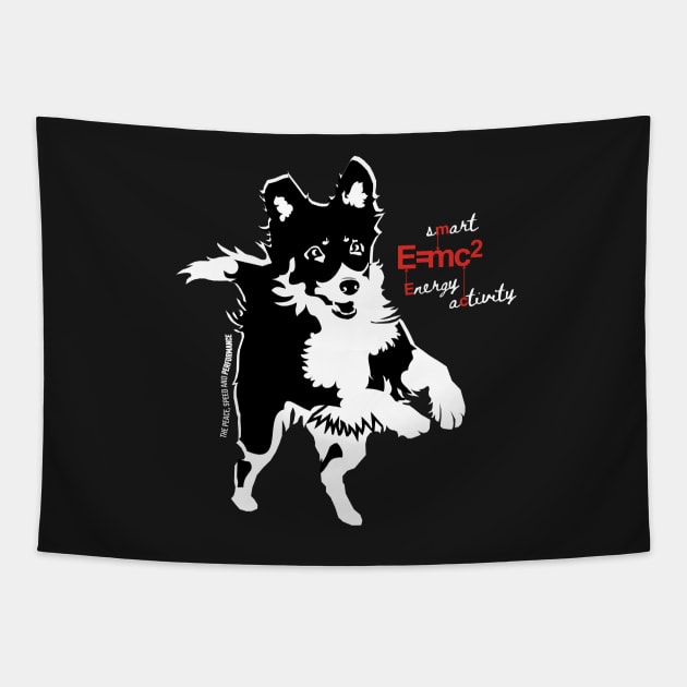 EMC2 - FOR SMART LOVERS OF SMART BORDERCOLLIES Tapestry by islandb