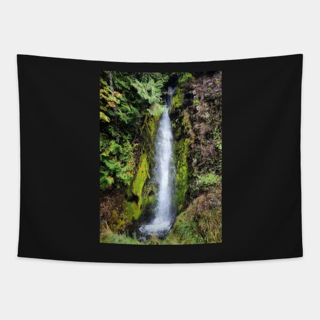 Lake Cushman Waterfall Tapestry by kchase