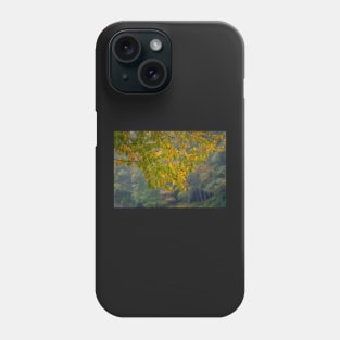 Colorful Leaves at Vogel State Park Phone Case