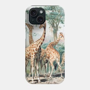 Giraffes long neck giraffe Phone Case