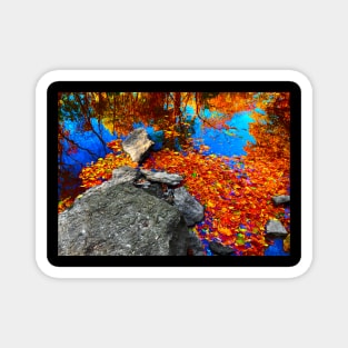 Brilliant fall foliage reflecting on calm water Magnet