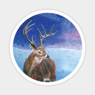 The red deer (Cervus elaphus) in winter Magnet