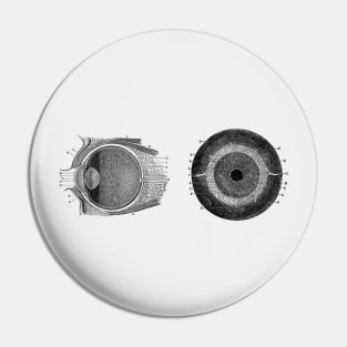 Human Eye Anatomy Diagram - Dual View Pin