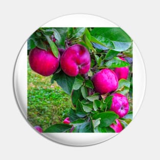 Red Apples Pin