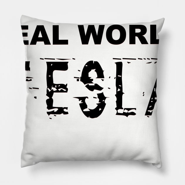 The Real World: Tesla Pillow by thomtran