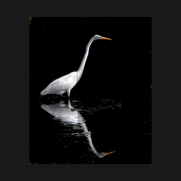 Great White Heron by joesaladino