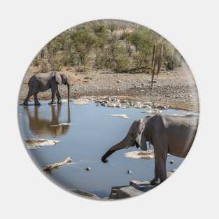 Namibia. Etosha National Park. Elephants at Waterhole. Pin