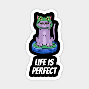 Life is perfect Magnet