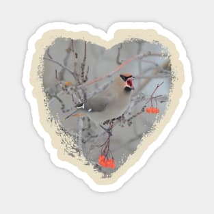 Love Bohemian Waxwings Magnet