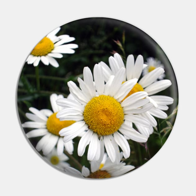 Attention To Daisies Pin by Angie Welton