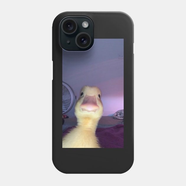 Duck meme Phone Case by DiorBrush