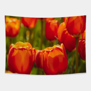 Red Tulip field Tapestry