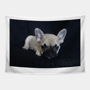 Baby French Bulldog Tapestry