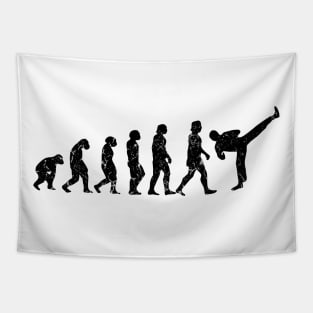 Taekwondo Evolution Tapestry