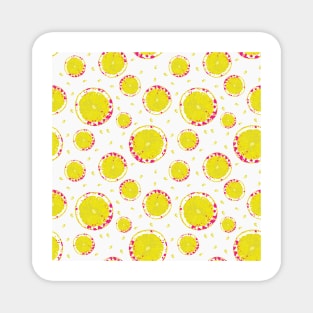 Lemon Slices Fruit Magnet