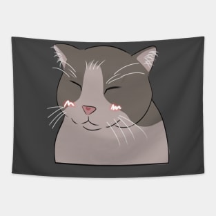 Smiling cat filter Tapestry