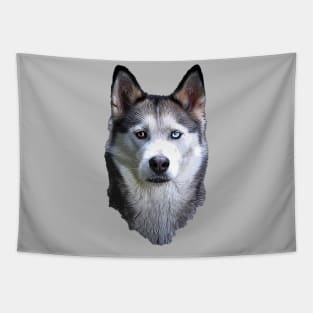 Siberian Husky Tapestry