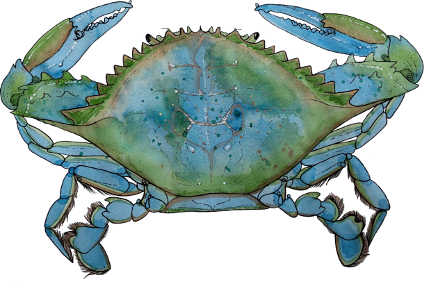 Blue Crab, Cancer Kids T-Shirt by JJacobs