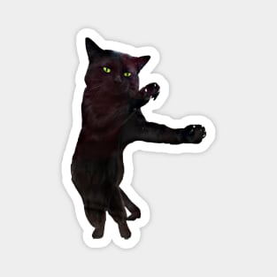 Dancing black cat Magnet