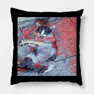 ZAMBA CAT Pillow